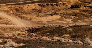 体育博彩串关：高赔率背后的指数级破产概率。（体育博彩串关：高赔率之下，破产风险呈指数级攀升）