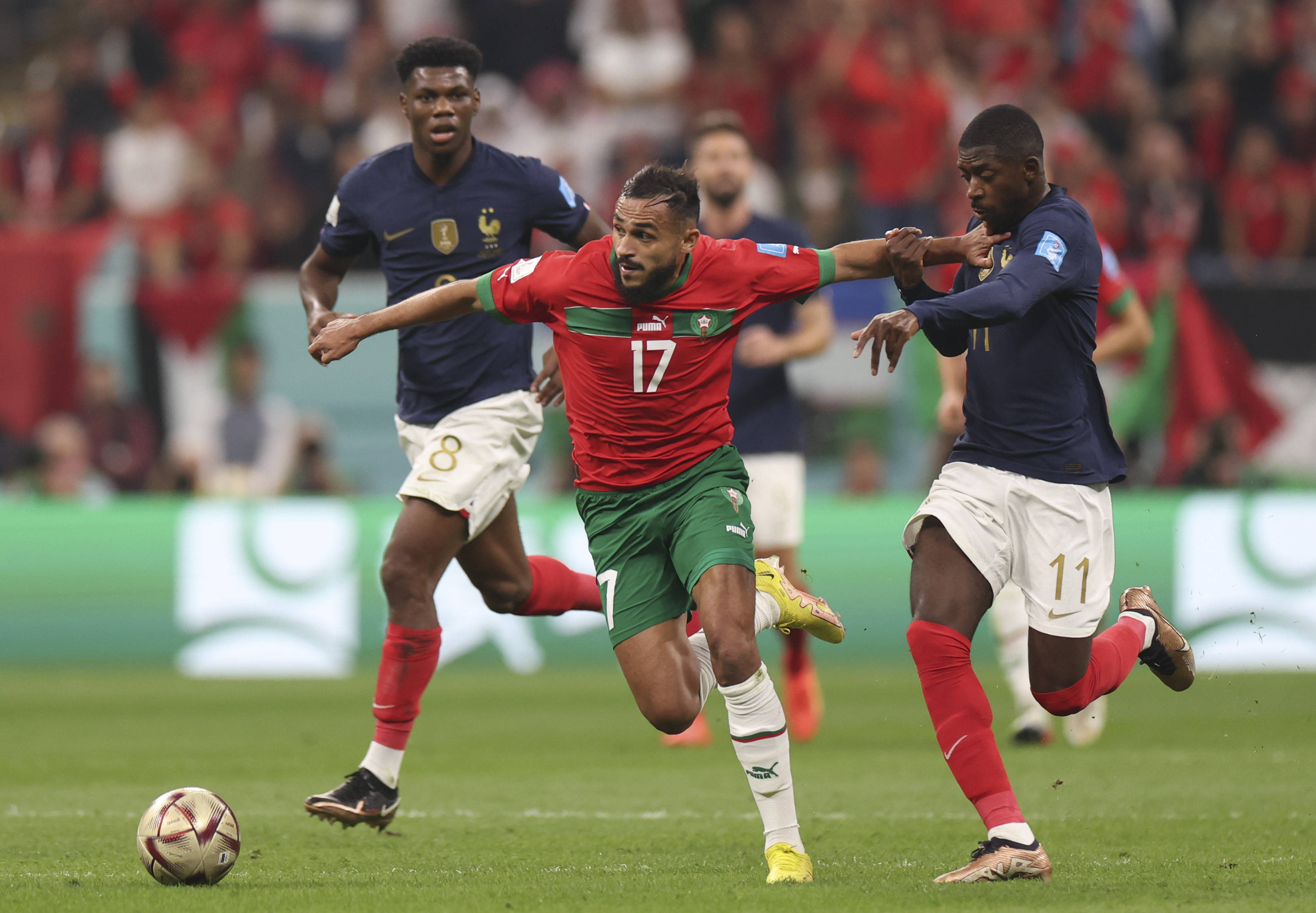 决又将掀起 决又将掀起